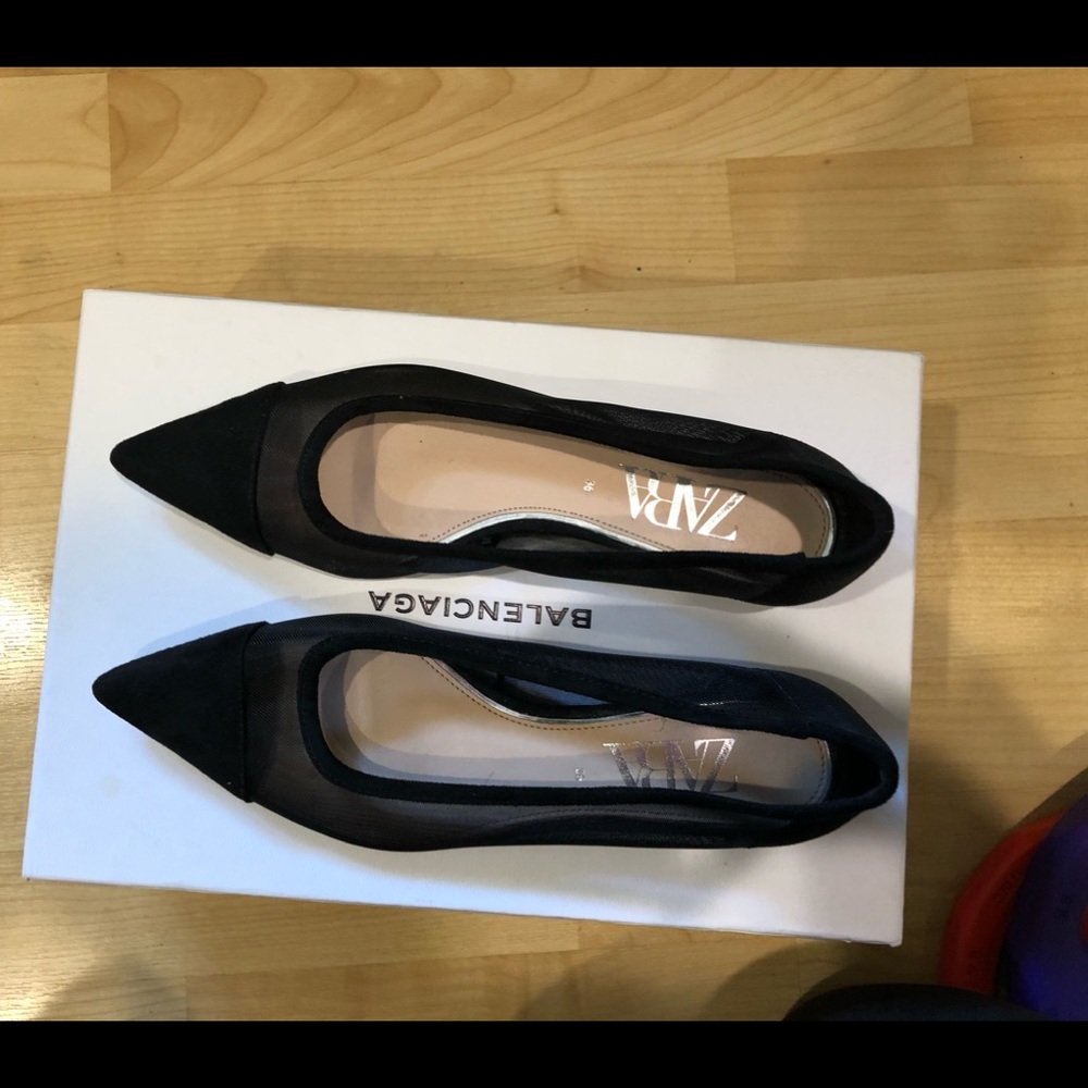 Zara Mesh pointed flats